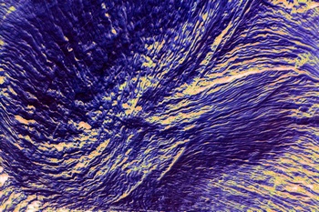 AP 78A1